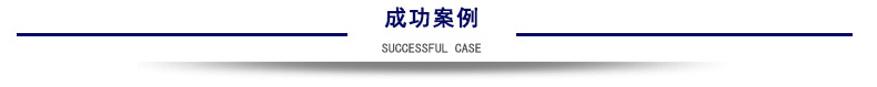 成功案例